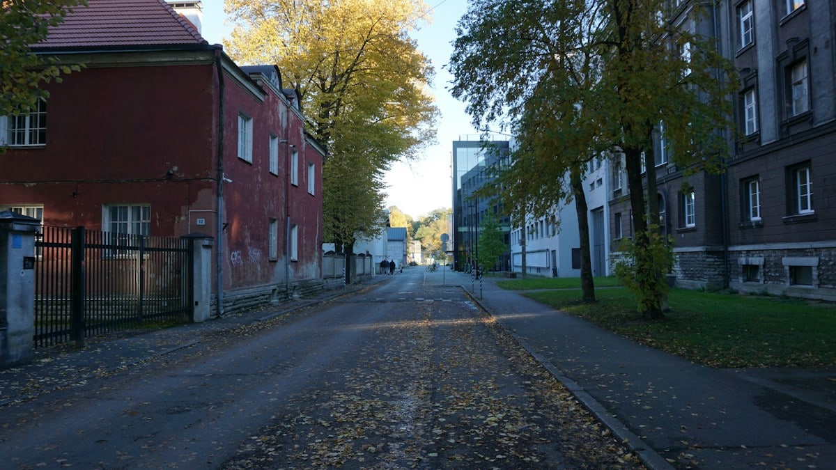 Quiet street with old buildings and trees in autumn